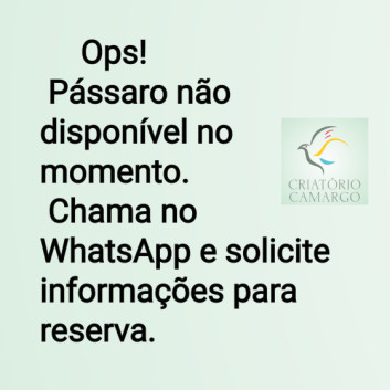 Criatório Camargo 